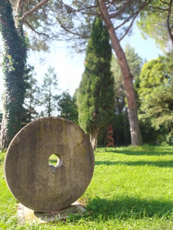 Torrenova Di Assisi Country House Eksteriør billede